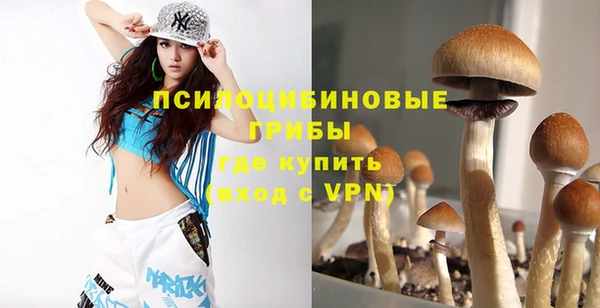 гашик Медвежьегорск