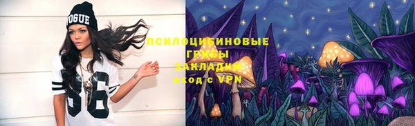 меф Алапаевск