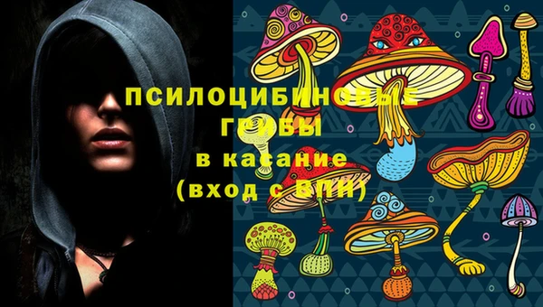 apvp Мегион