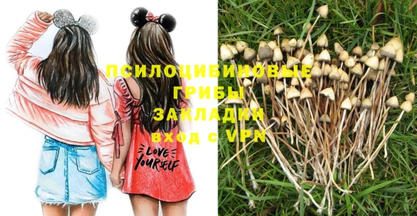 гашик Медвежьегорск