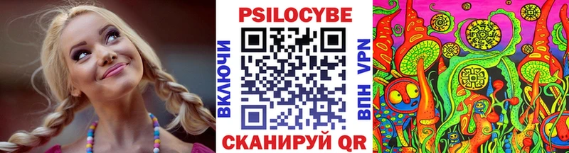 Галлюциногенные грибы Psilocybine cubensis Циолковский